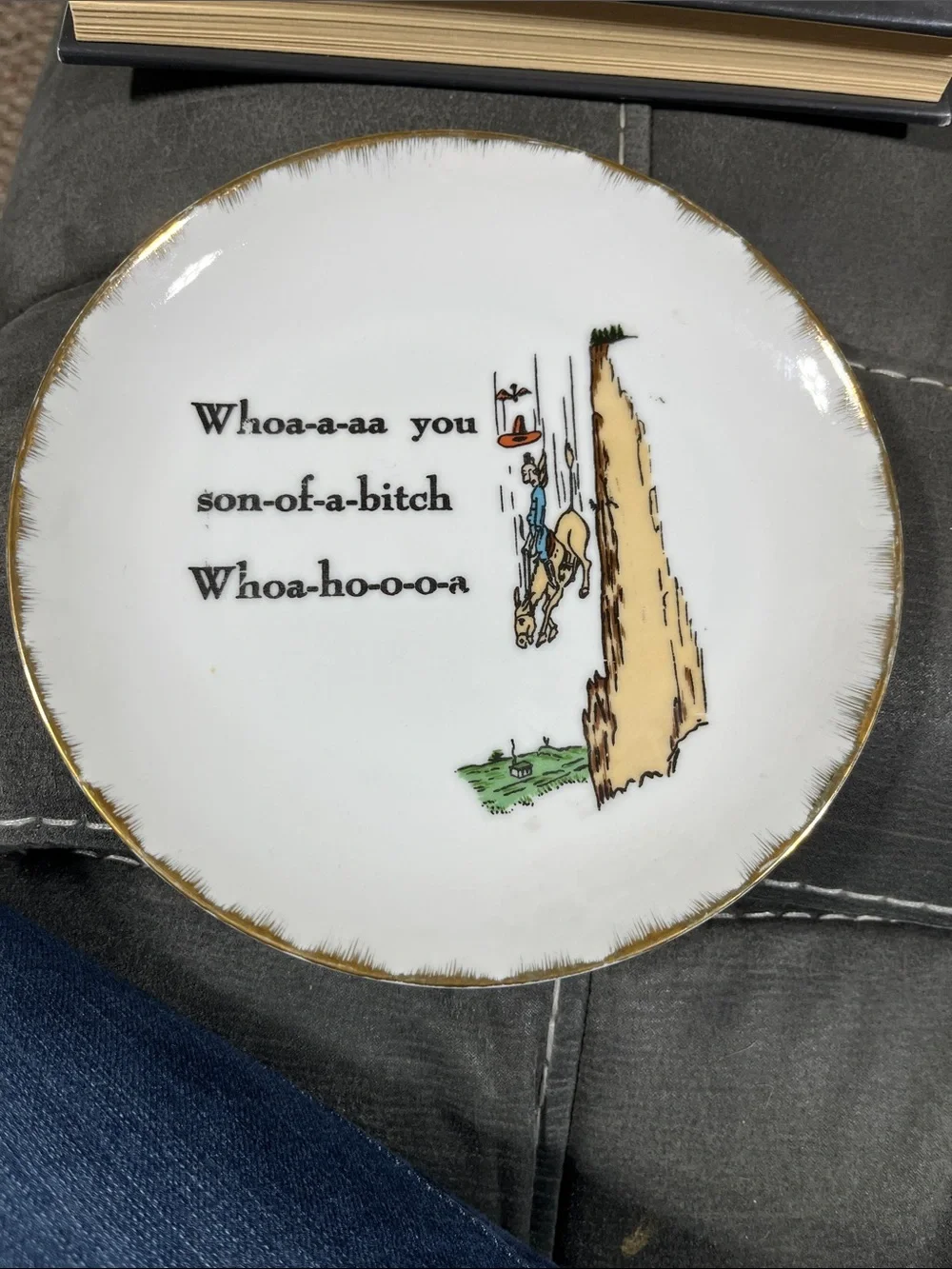 1970’s Son of a B*tch plate vintage